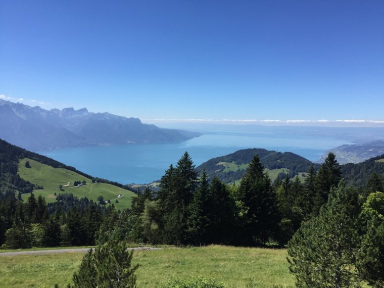 La vue sur le lac léman